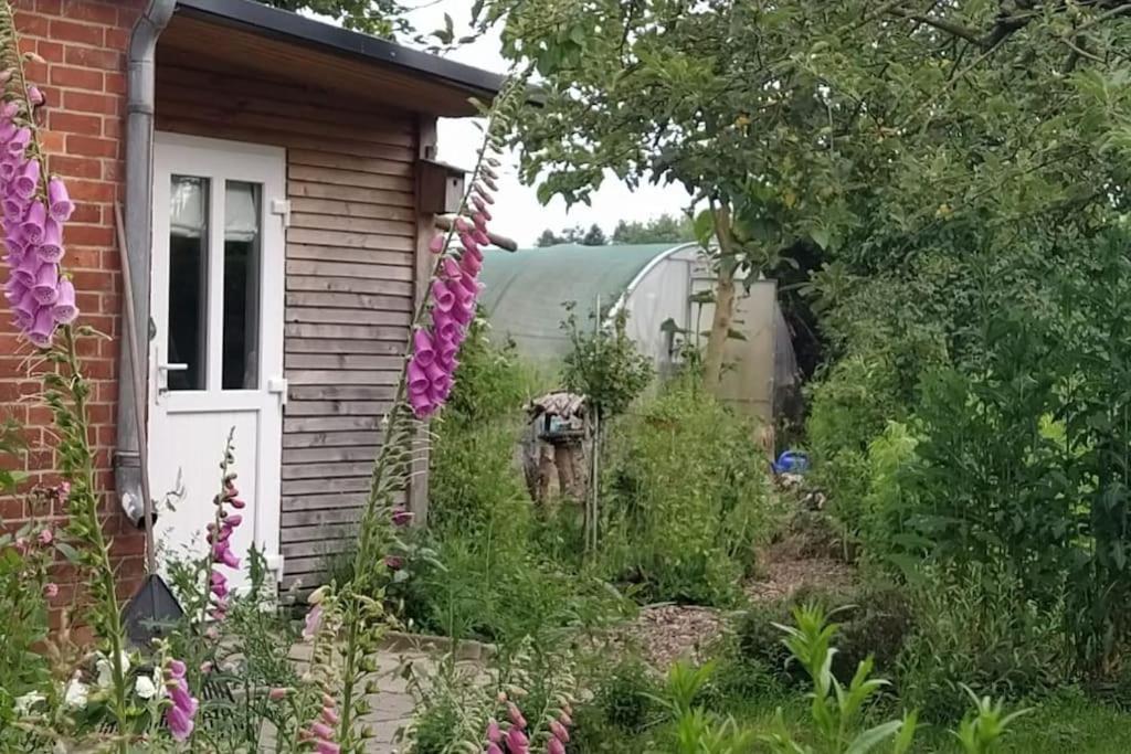 Bücken Fairschlafen - Gartenwohnung מראה חיצוני תמונה